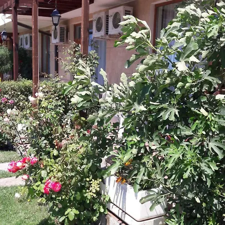 Garden Of Eden Privat Apartament Diana Apartment *